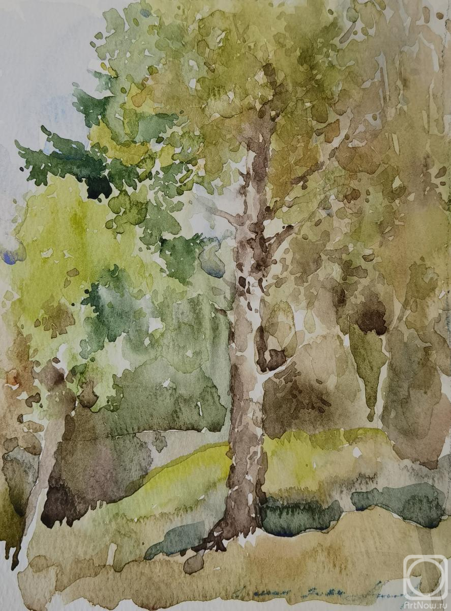 Podzhigaylo Katerina. May Day sketch