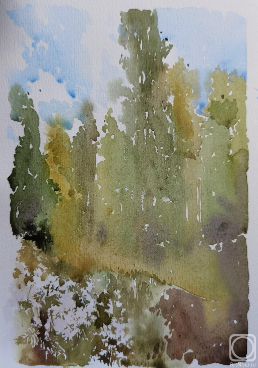 Podzhigaylo Katerina. In the forests of Kharinka