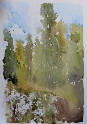 In the forests of Kharinka. Podzhigaylo Katerina