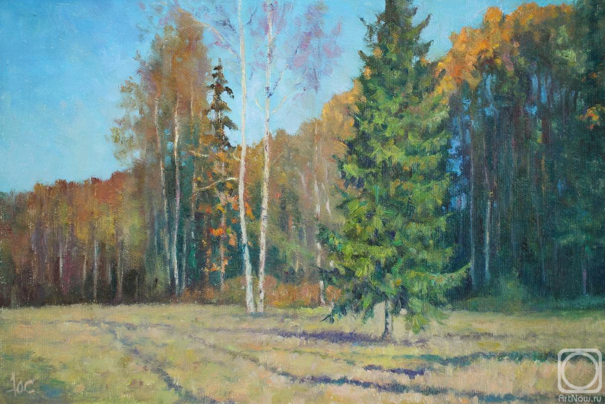 ������� ������ �� ������. ���������� ����. �������������� �����