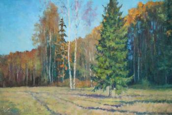 ������� ��������������� ������