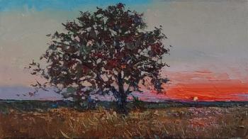 ������� � �������. ���������� �������