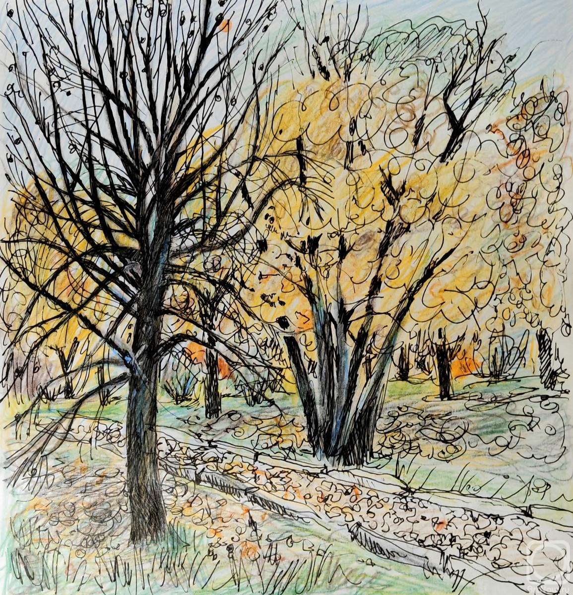 �������. �������� ������. 13 �������