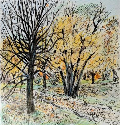 13 �������. �������� ������