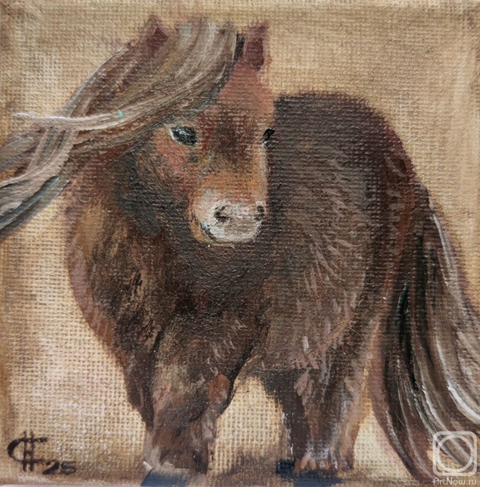 ������� ������ �� ������. ������ �������. ���� �����