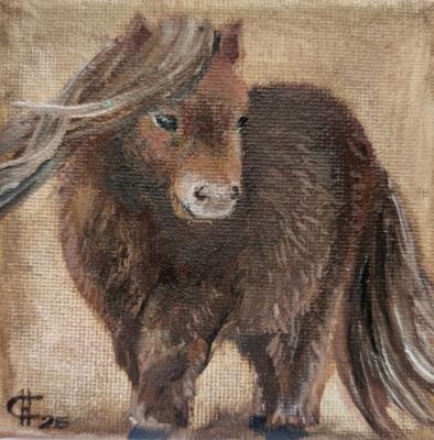 ������� ����� ������