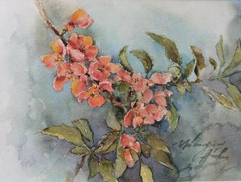 Blooming quince. Podzhigaylo Katerina