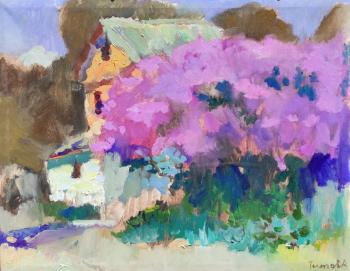 ������� �������� �����