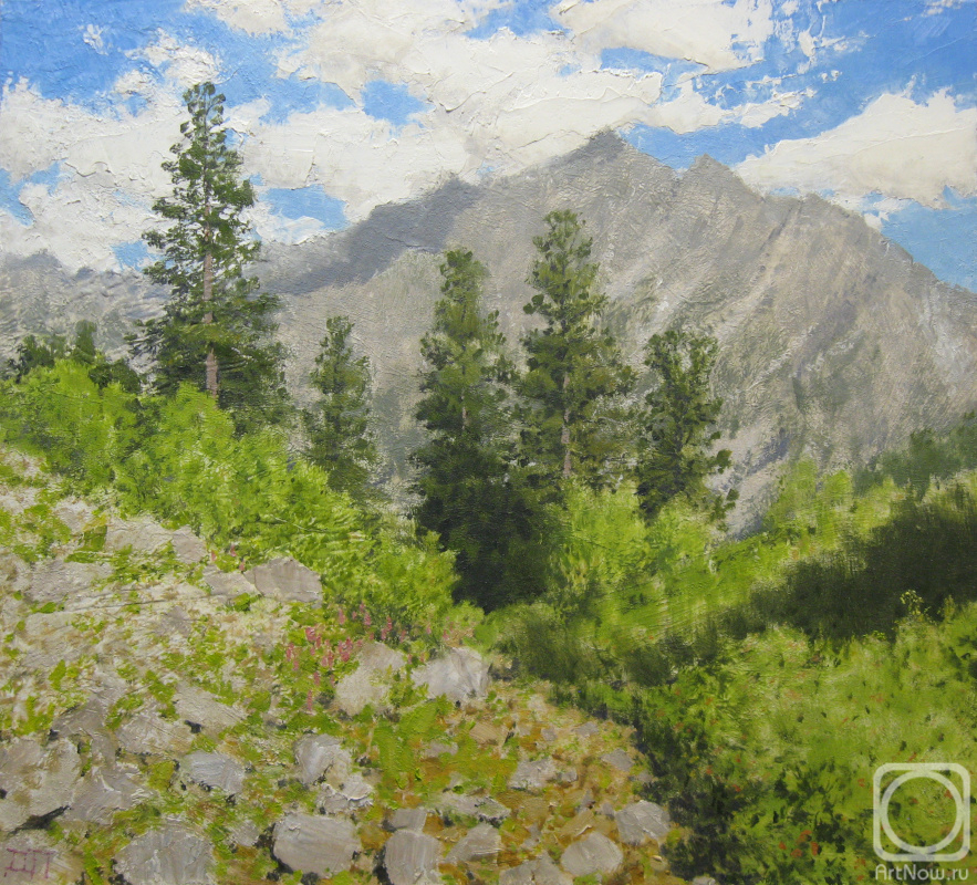 �������. ������� �������. ��� �����