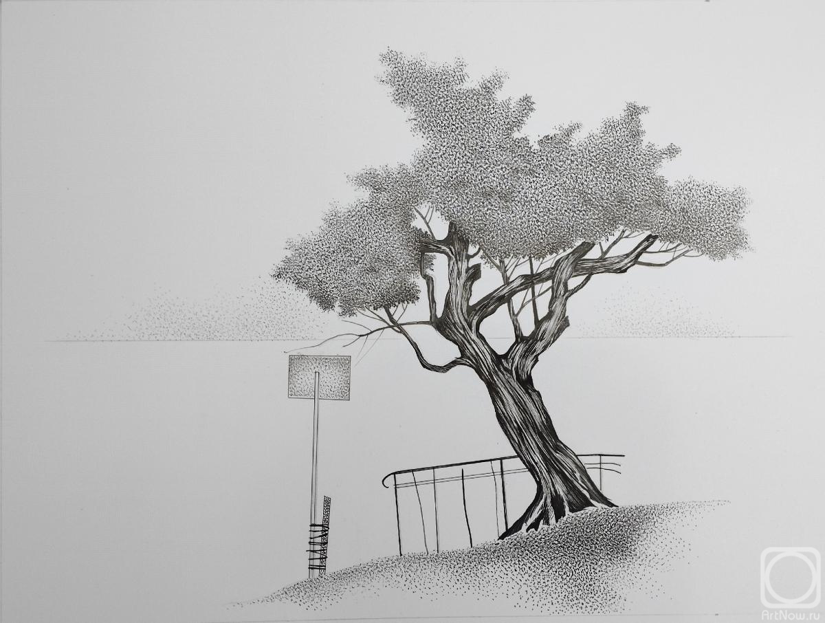 �������. �������� ����. ������������ � ����