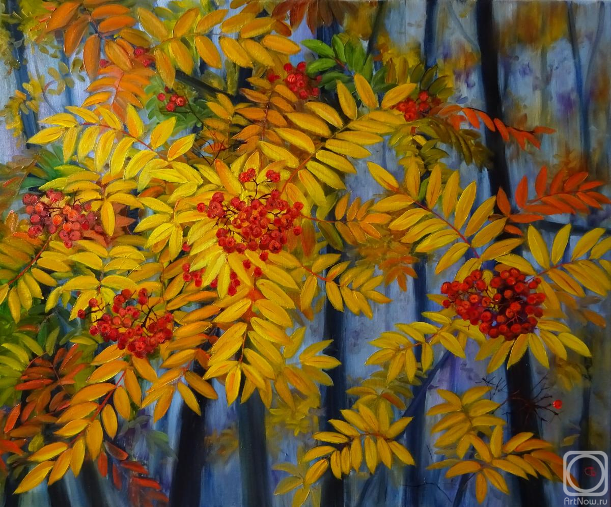 ������� ������ �� ������. �������� ��������. ������� ������ ������ ��������