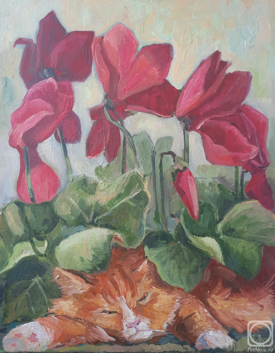 ������� ������ �� ������. �������� ����. �������� � ���