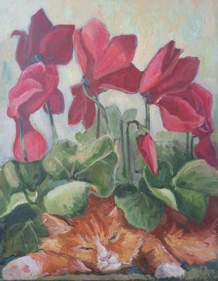 �������� � ���. �������� ����