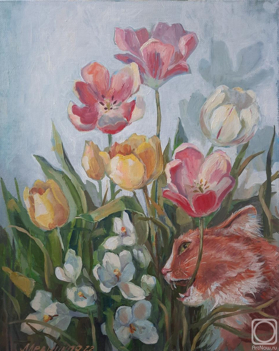 ������� ������ �� ������. �������� ����. ��� � ��������