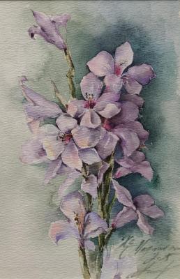 He Majesti (Watercolor Floristry). Podzhigaylo Katerina