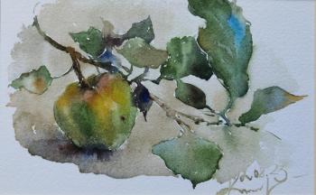 ������� �� �����. ���������� ��������