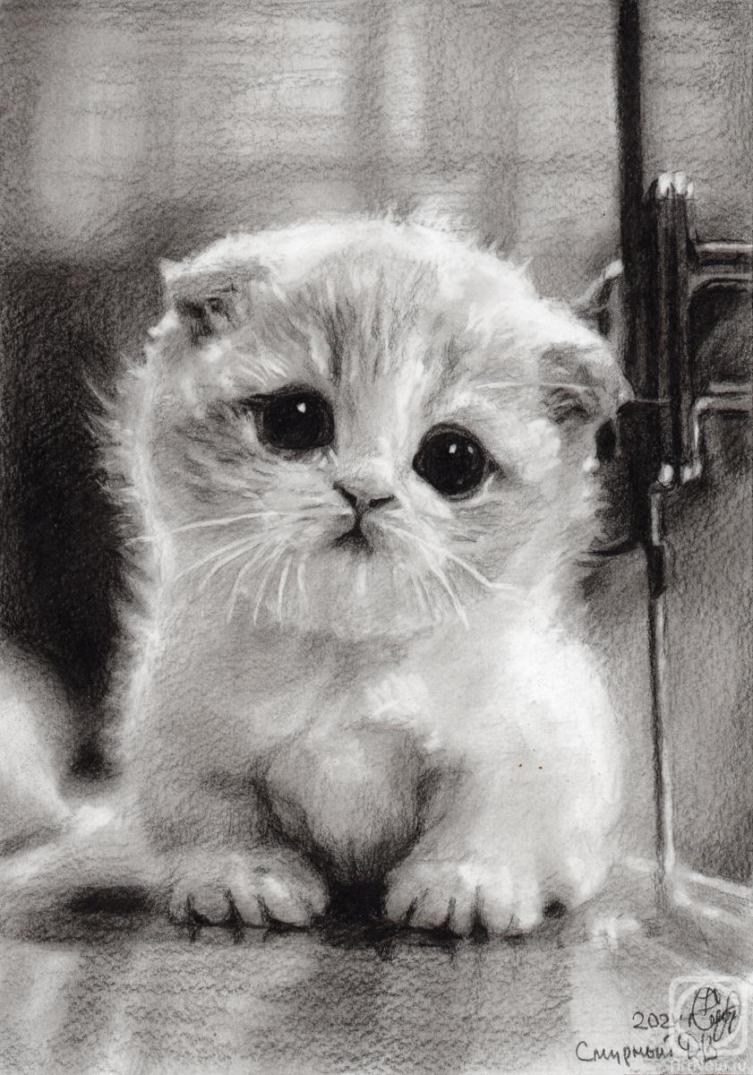 �������. ������� �������. �������