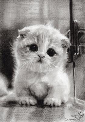 ������� (������� �����). ������� �������