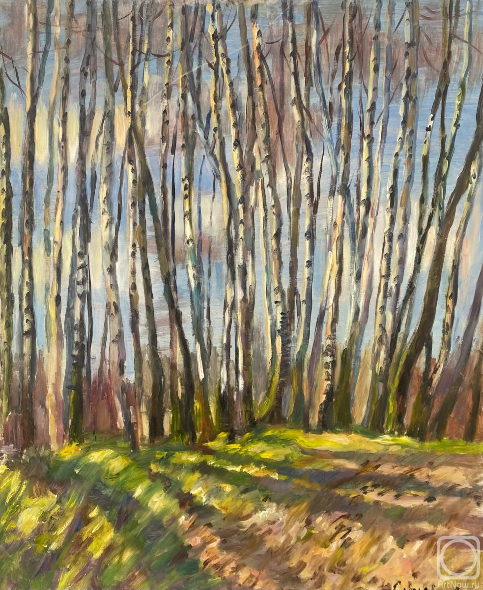 �������. ������ ��������. ���������� �����