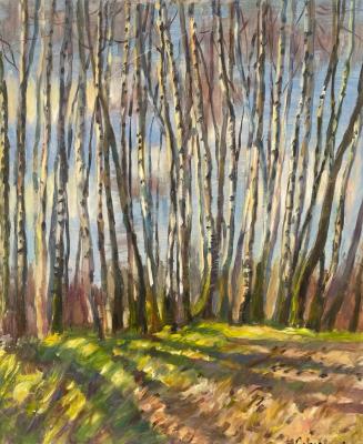 ���������� �����. ������ ��������