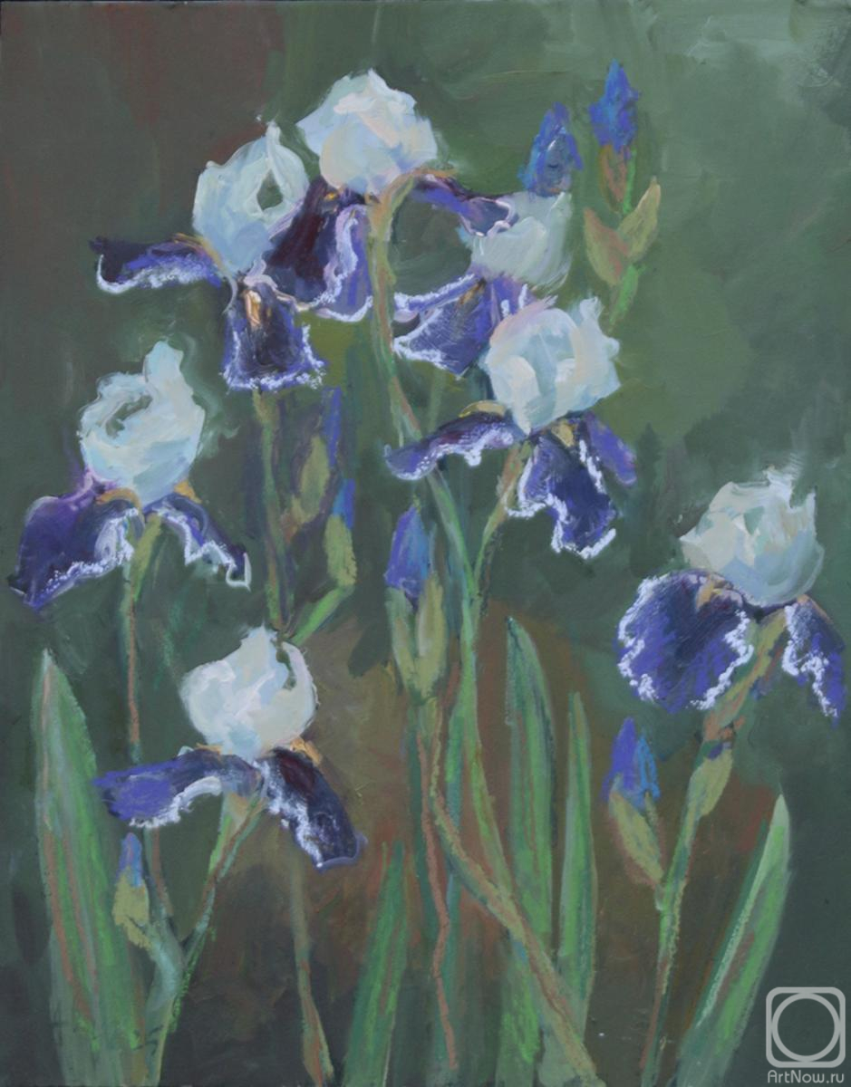 �������. ������� ���������. �����