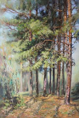 Pine trees at the edge of the forest. Rogozina Svetlana