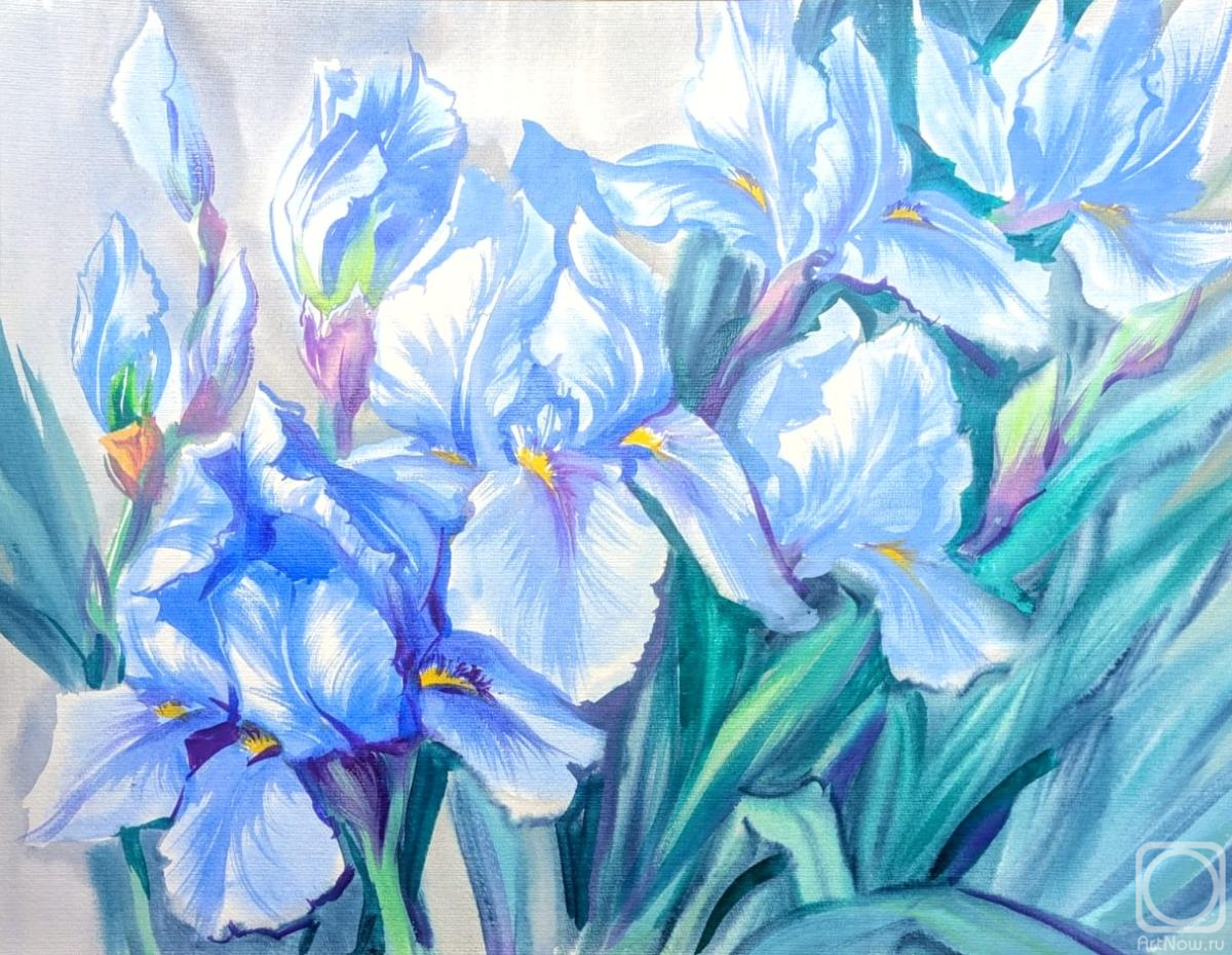 �������. ���������� ���������. ����� - �������� ����