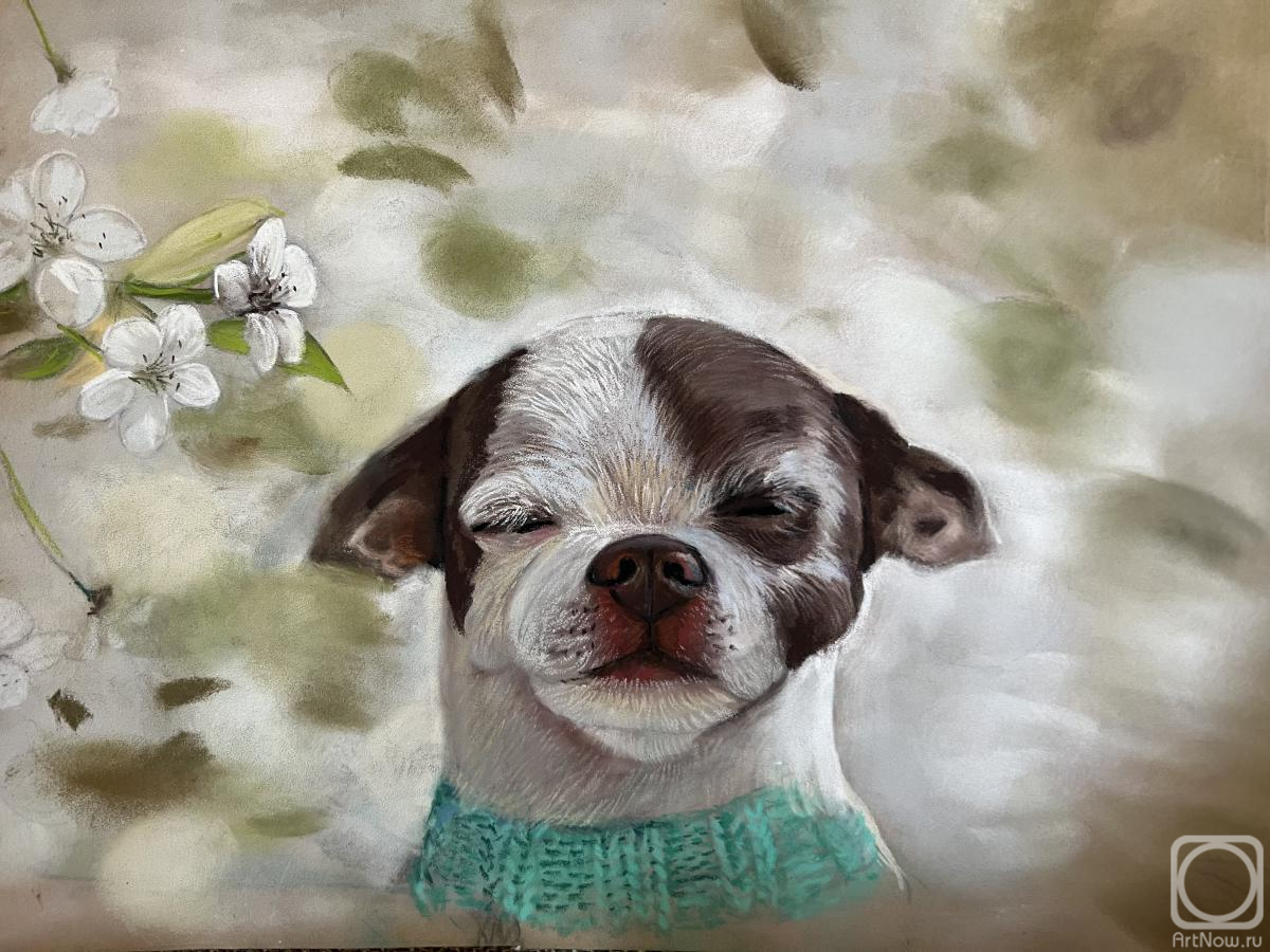 Malyutina Yuliya. Spring Dog