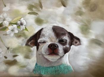 �������� ����. �������� ����