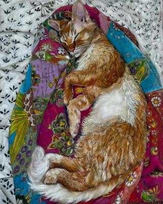 ������� ������� ��� (�������� ���������). �������� ����