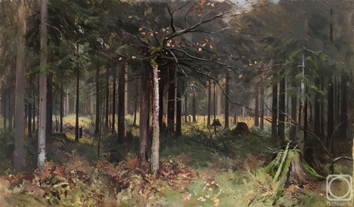 ������� ������ �� ������. ����� �����. ������ � ������ ����