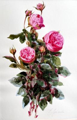 ����� �������� ����. ��������� ���������