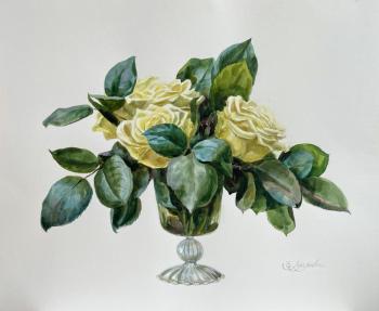 ������ ����. ��������� ���������