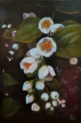 ������� ��������