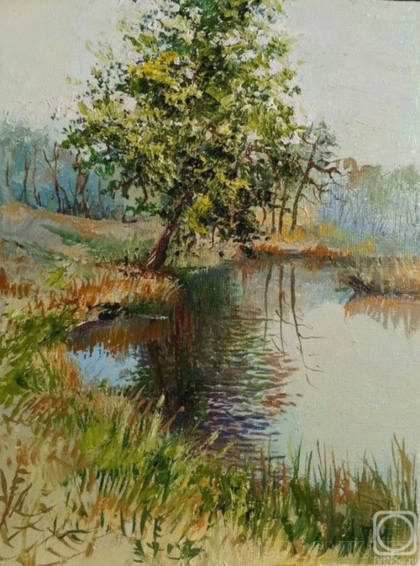 �������. ��������� �������. ������