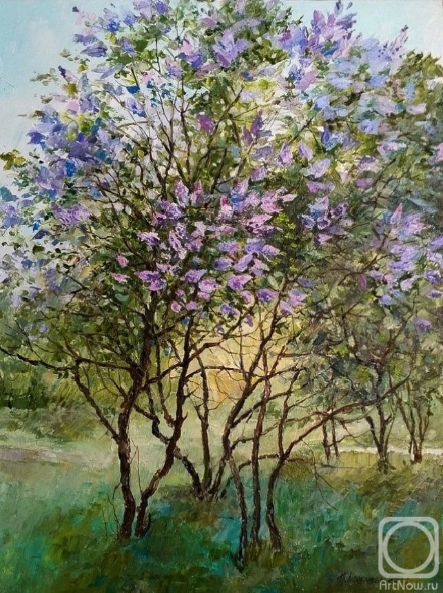 �������. ��������� �������. � �������� ������