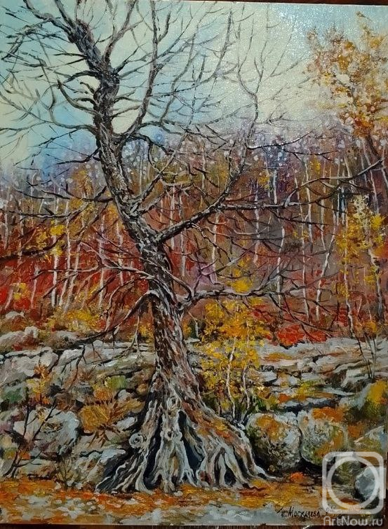 �������. ��������� �������. ��������