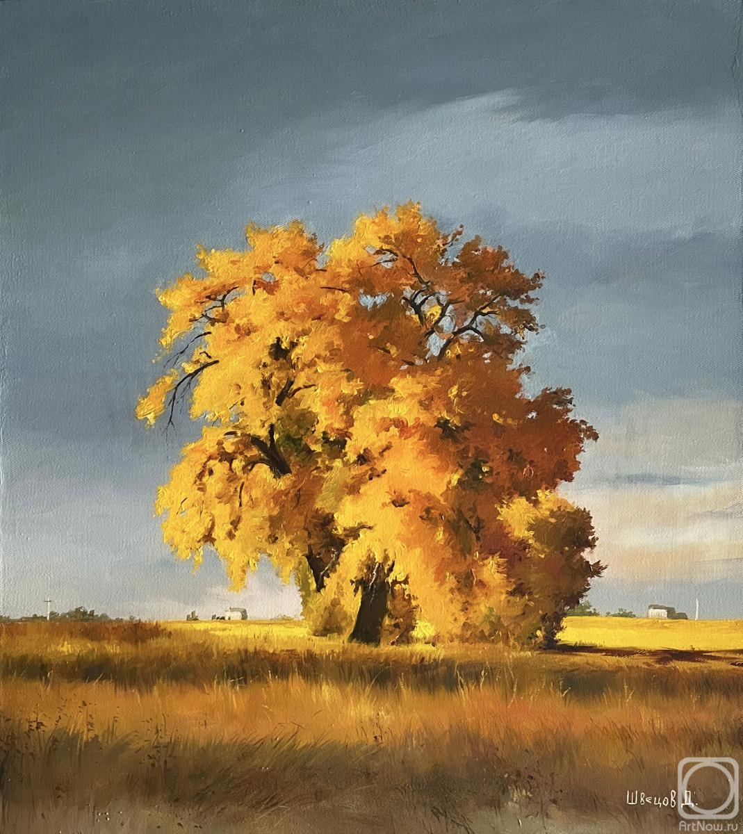 ������� ������ �� ������. ������ �������. �����, ������� ������