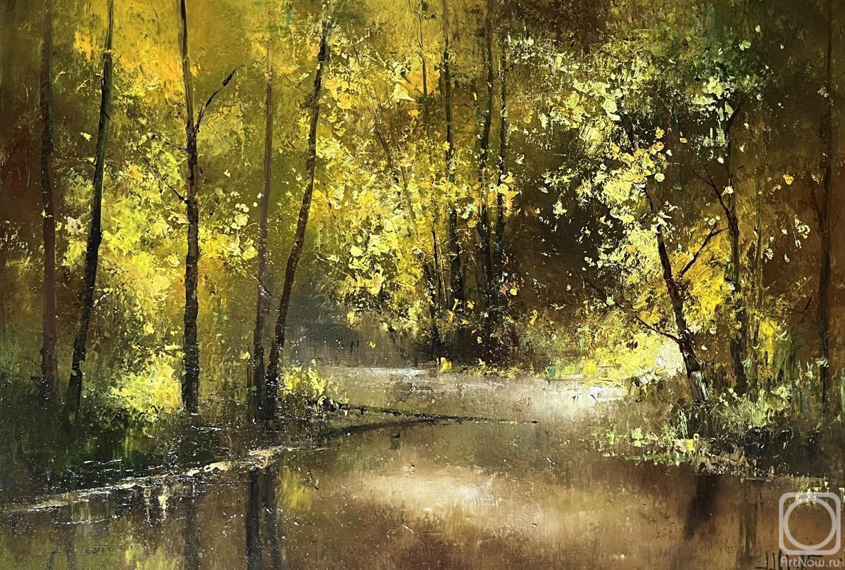 ������� ������ �� ������. �������� �����. Etang du domaine du comte de La Fere