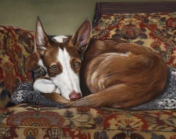 �� ������� �����. �������� ����