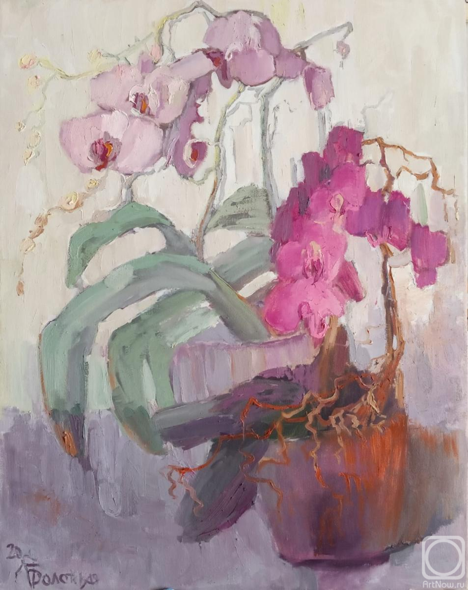 ������� ������ �� ������. ��������� �������. �������. ������� �������