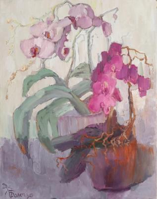 �������. ������� �������. ��������� �������