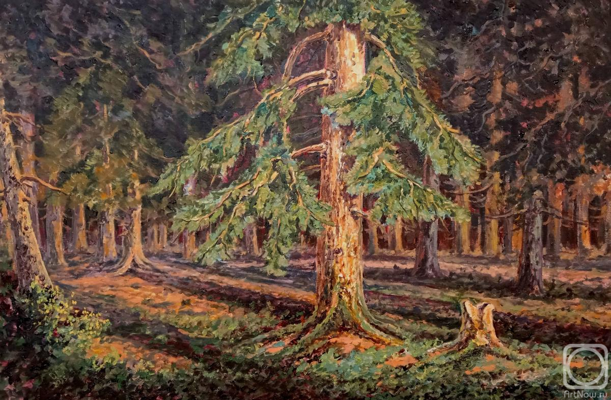 ������� ������ �� ������. ������� �������. ������ ��������