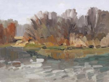 Under the November rain. Fyodorova-Popova Tatyana