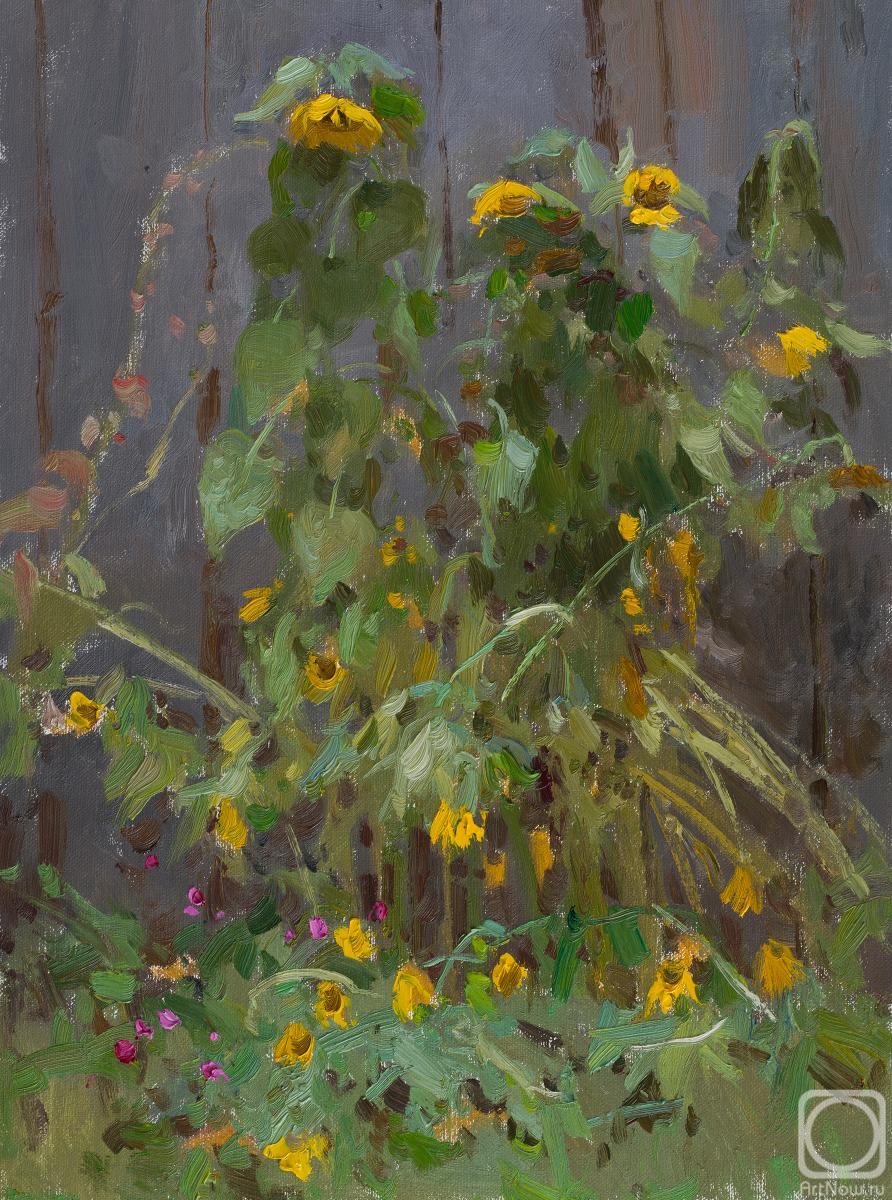 ������� ������ �� ������. ������� �������. ����������