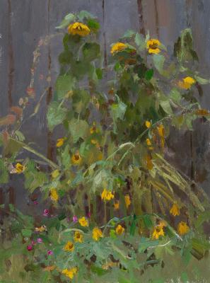 ���������� (����� �������). ������� �������