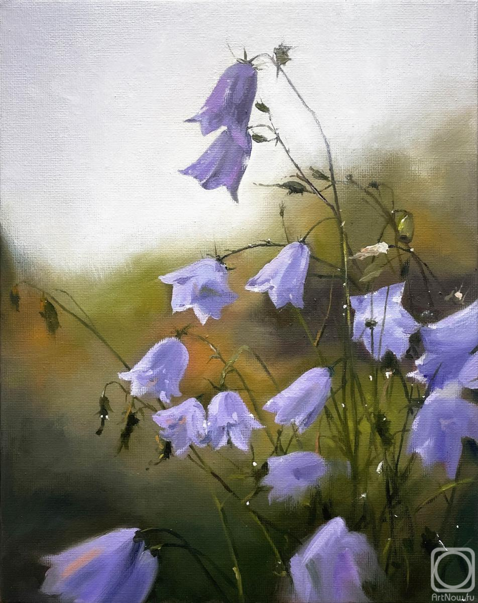 �������. ������ �������. ������� �����, ������������