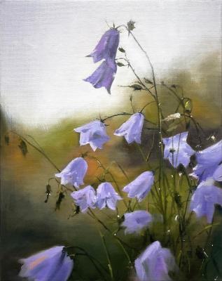 ������� �����, ������������. ������ �������