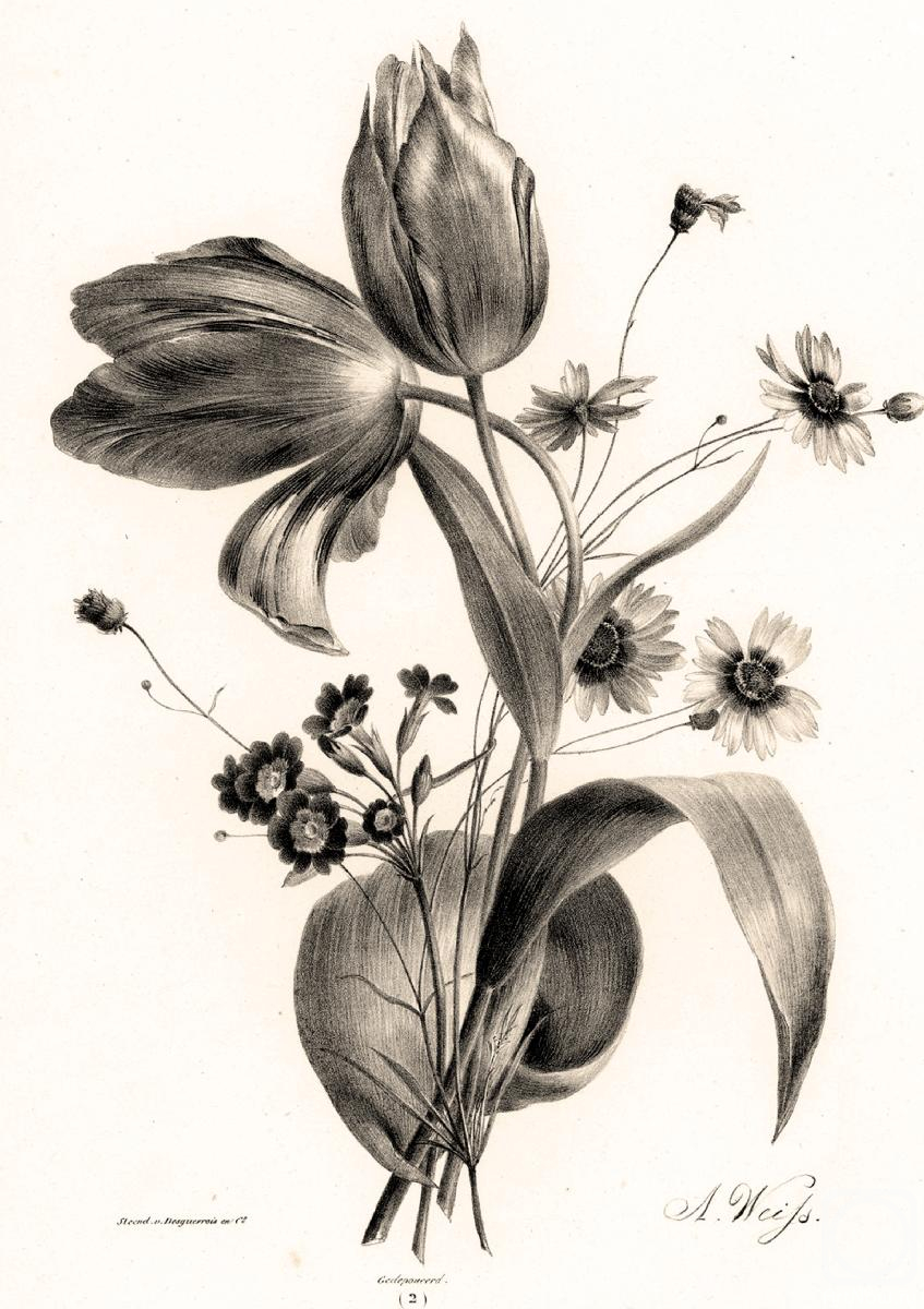 Kolotikhin Mikhail. Untitled