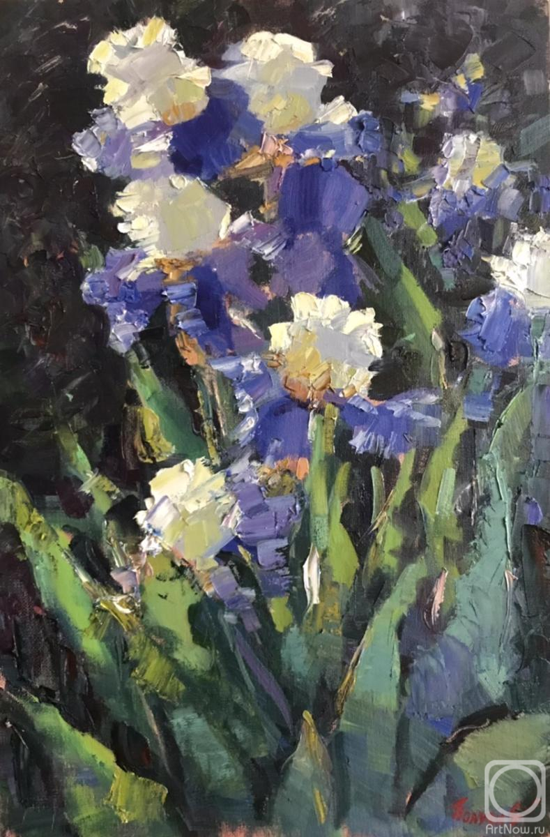 Poluyan Yelena. Enchanted by the sun